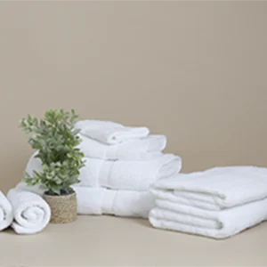 Excellence Collection Bath Towels – 1Concier